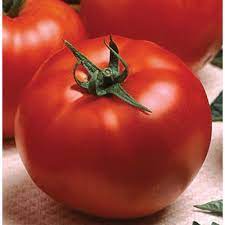 Optima_Seminis_Tomato_Seeds_Beef_1