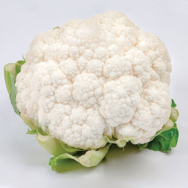 Seminis_Cauliflower_Lucex_IT